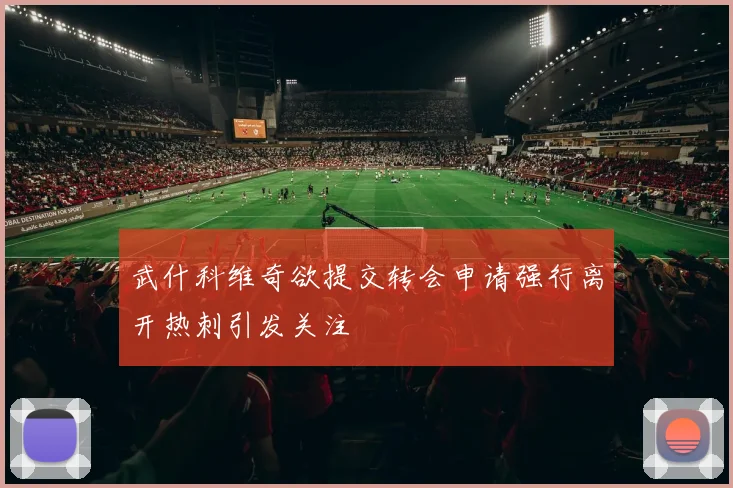 武什科维奇欲提交转会申请强行离开热刺引发关注